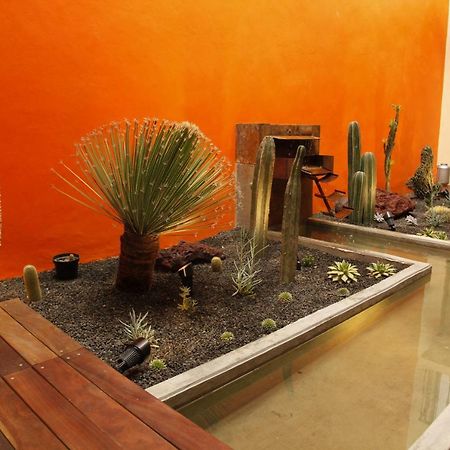 Coyoacan - Inn Mexico City Exteriör bild