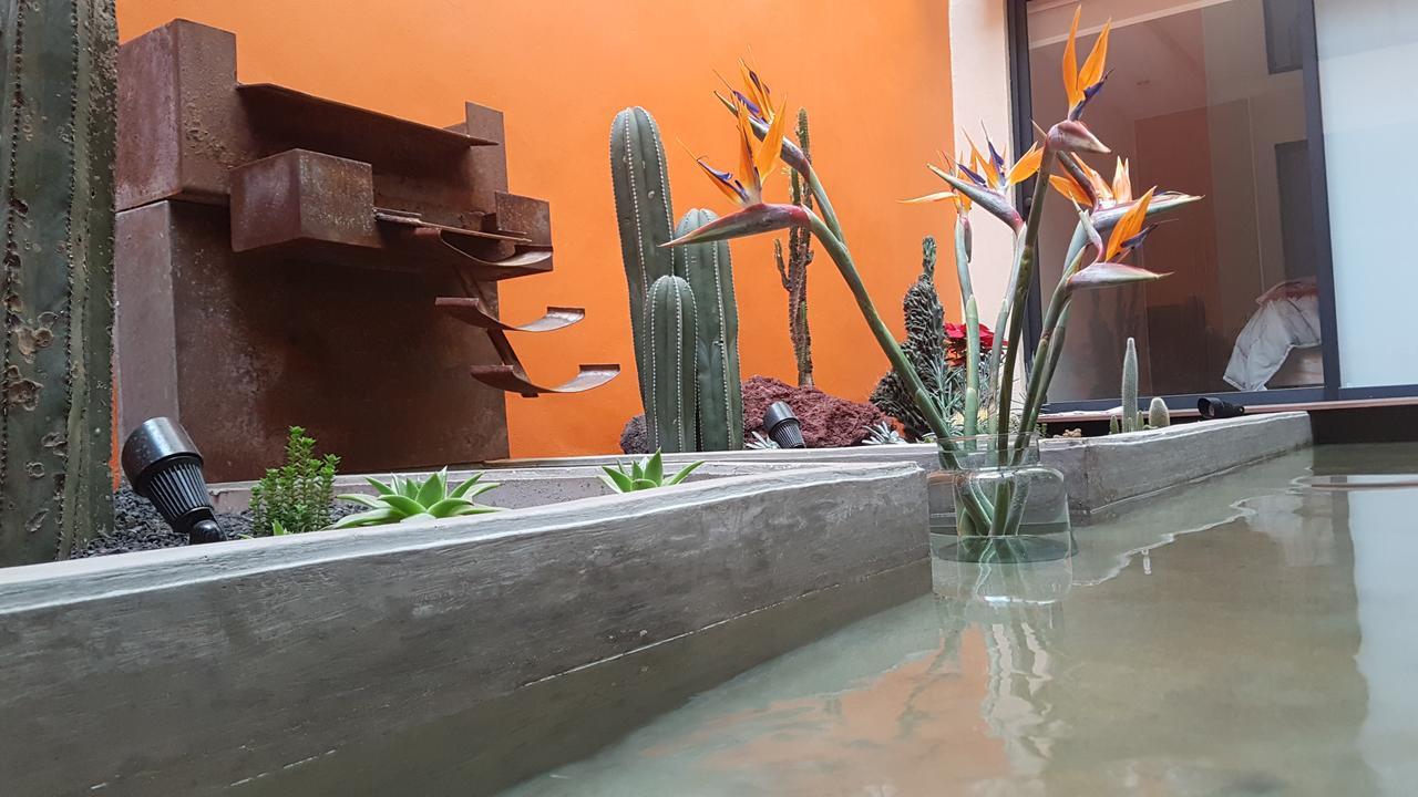 Coyoacan - Inn Mexico City Exteriör bild