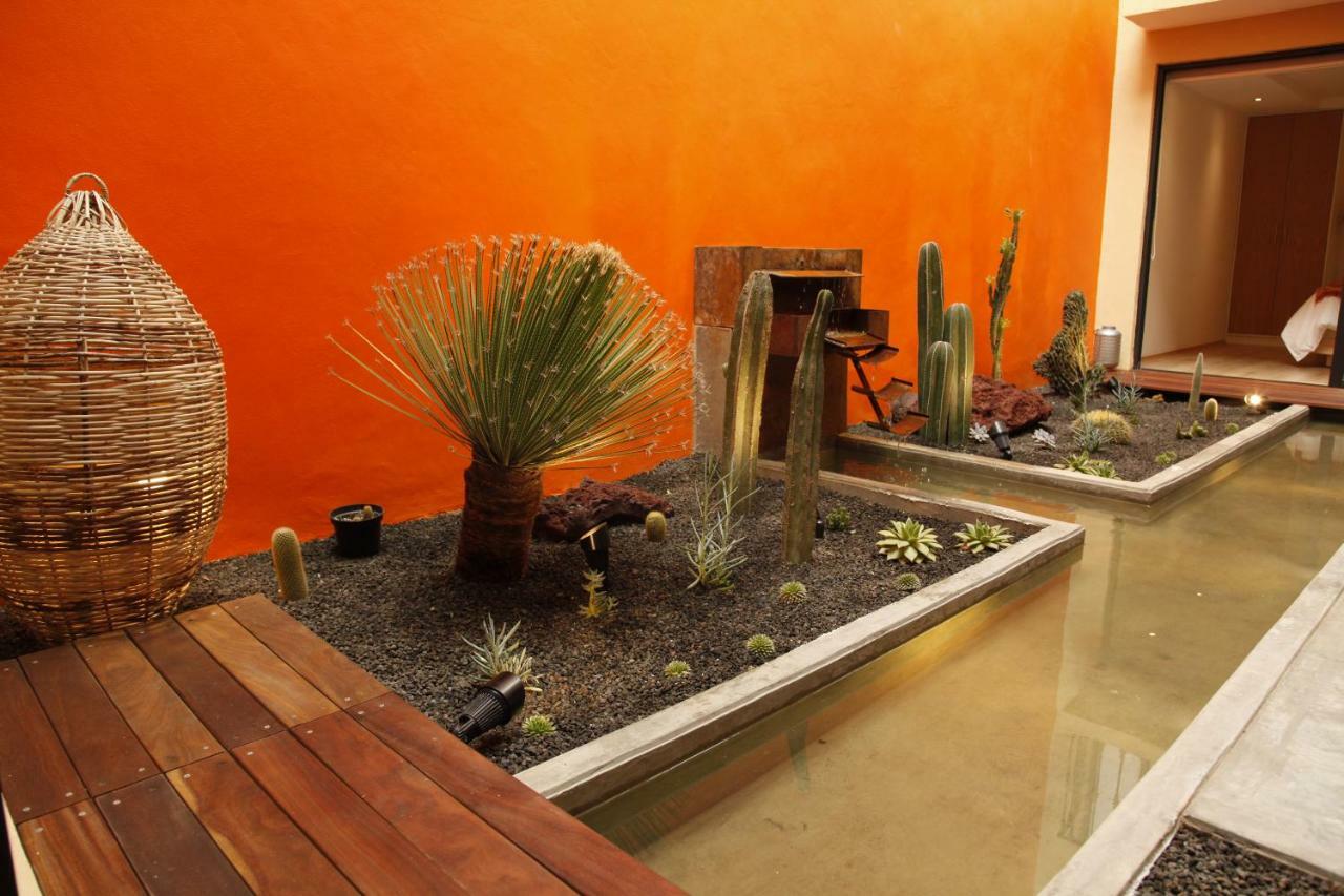 Coyoacan - Inn Mexico City Exteriör bild